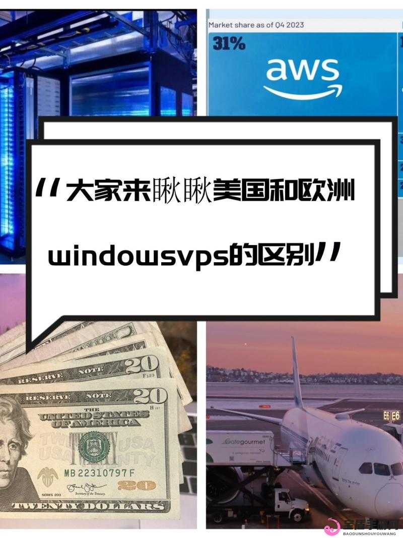 美国和欧洲 Windows：市场与技术发展