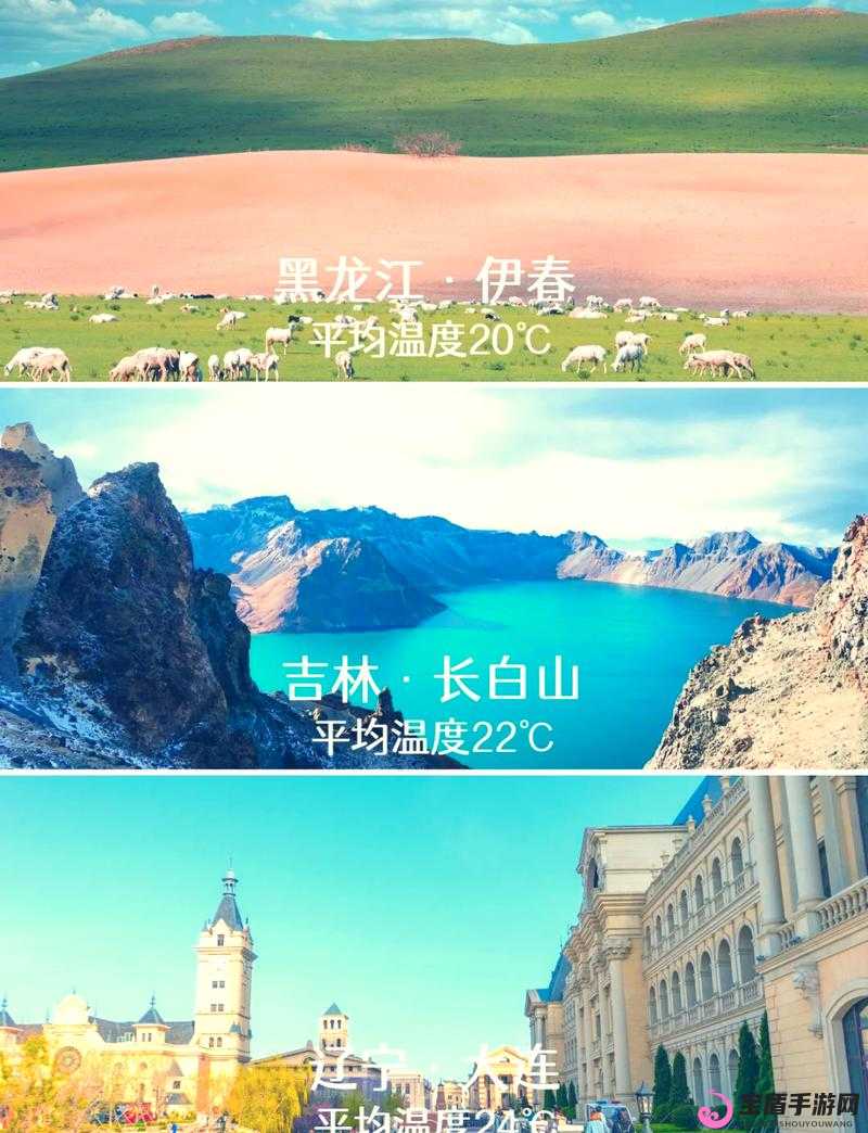 伊春园 2025 入口直达大象：奇幻之旅开启