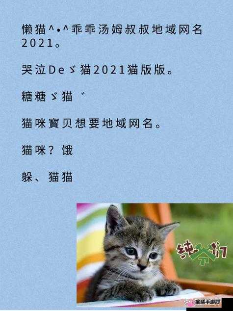 2021 猫咪最新地域网：猫咪爱好者的聚集地