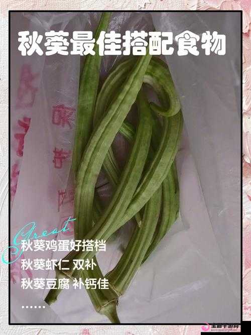 秋葵草莓丝瓜黄瓜榴莲大全：丰富口感，满足你的味蕾