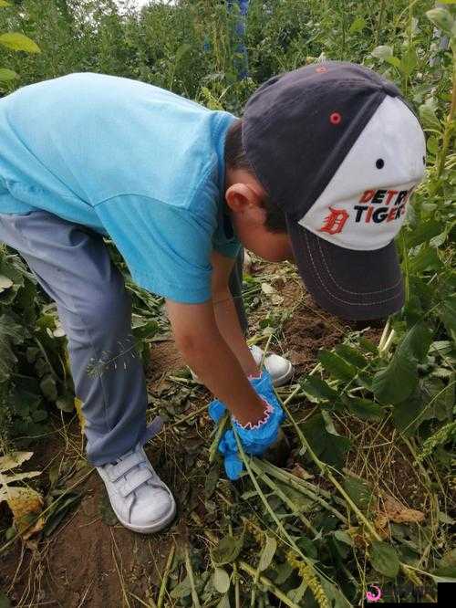 挤牛奶拔萝卜怎么拔的方法及技巧