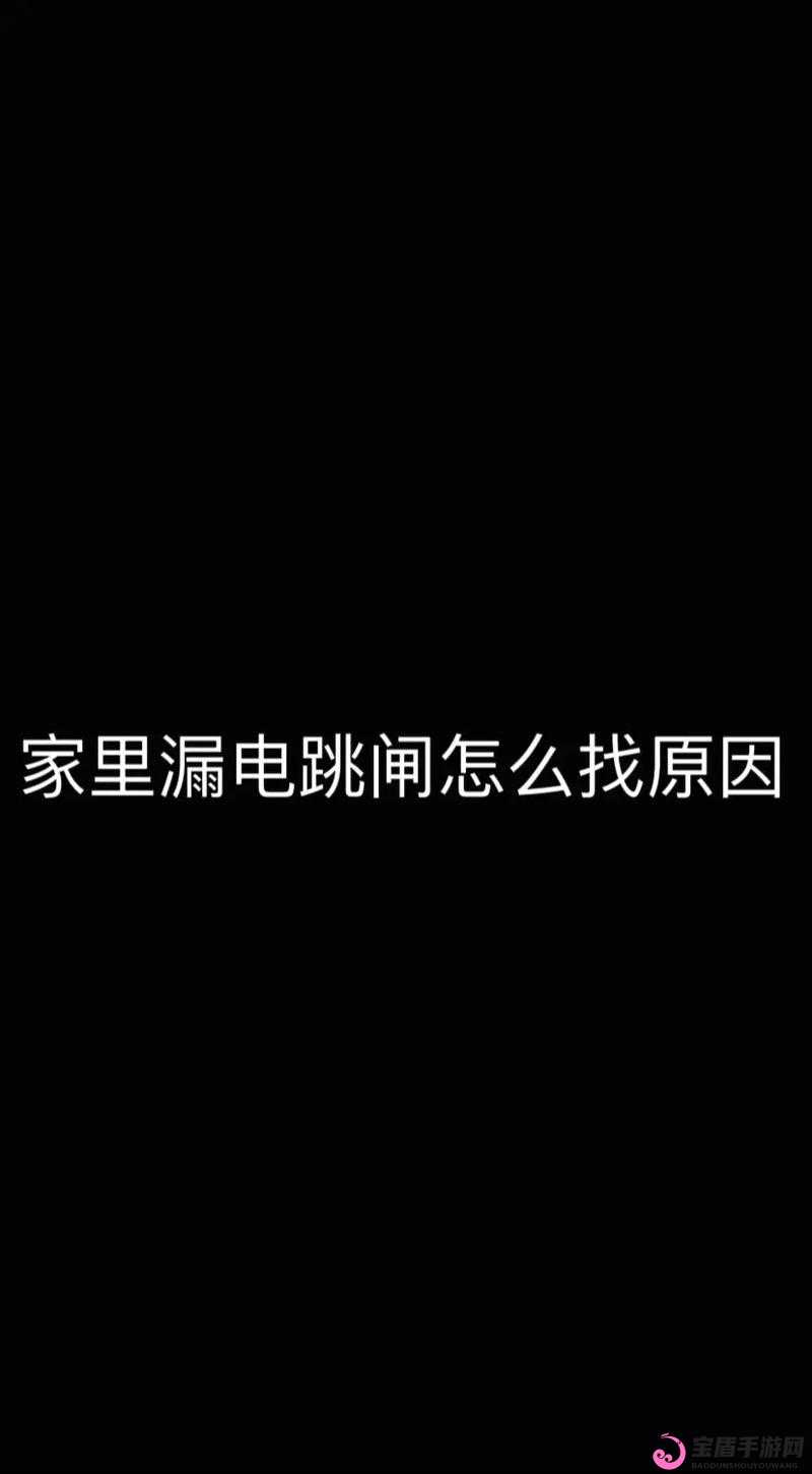 物业电工老赵与刘梦刘香的日常：温馨相伴时光